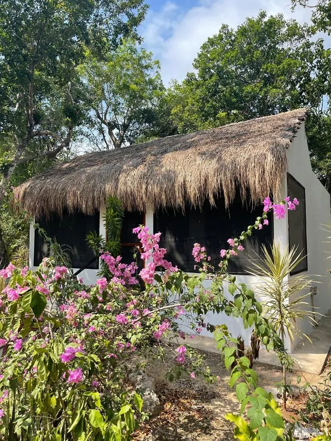 Maya Eco Village Akumal Mexico