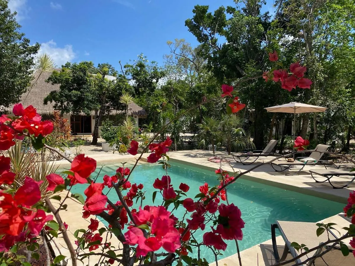 Maya Eco Village أكومال المكسيك